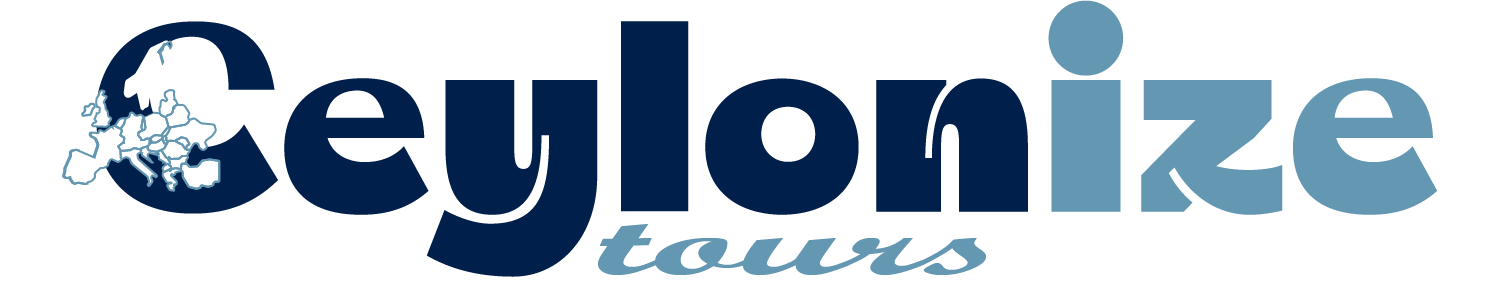 Celonize Logo